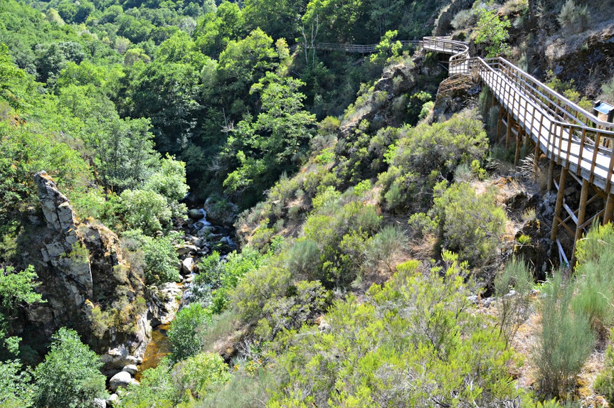 Ribeira Sacra