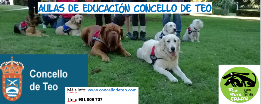Aulas Concello de Teo