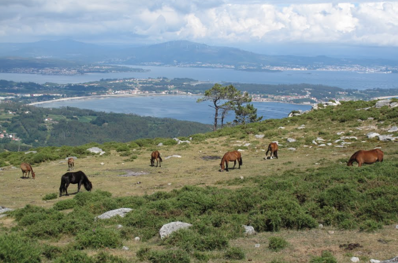 Serra do Barbanza