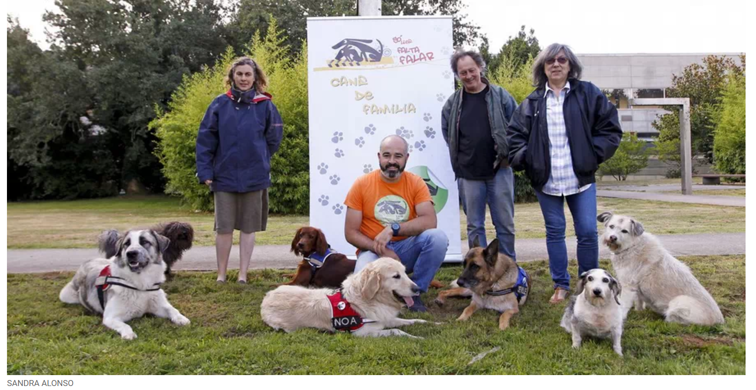 Artigo Voz de Galicia
