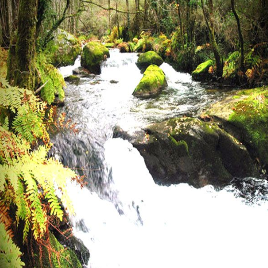 Rio Vilacoba Lousame