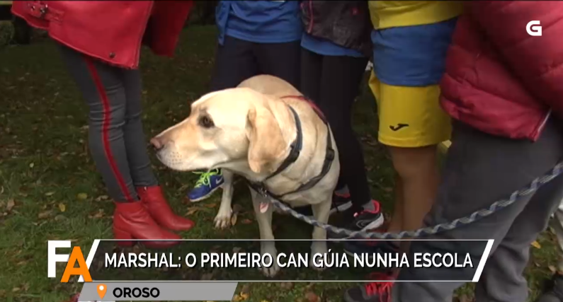 Marshall no Colexio