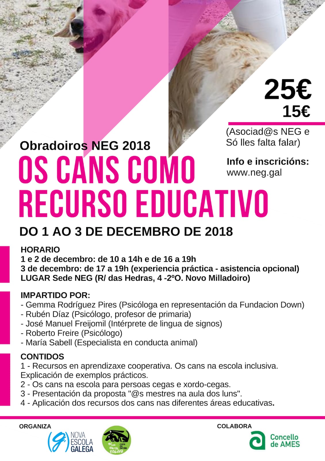 Nova Escola Galega